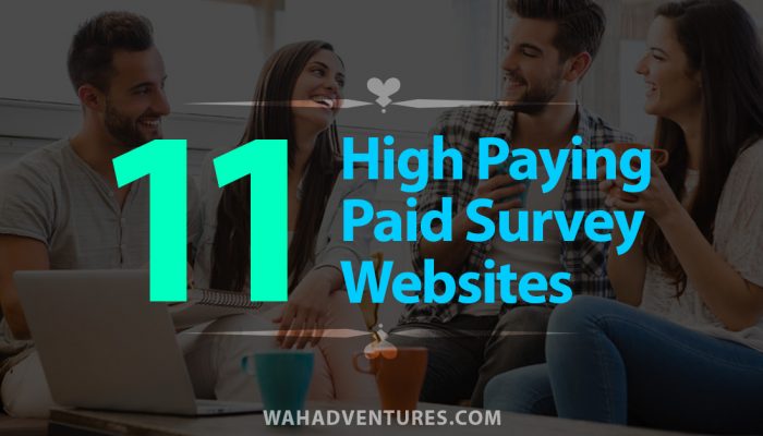 Make Money Online - Work From Home Job Reviews
