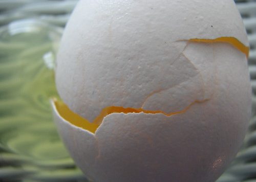 When Eggs Shatter