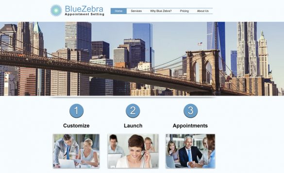 Blue Zebra Review: Work at Home as an Appointment Setter