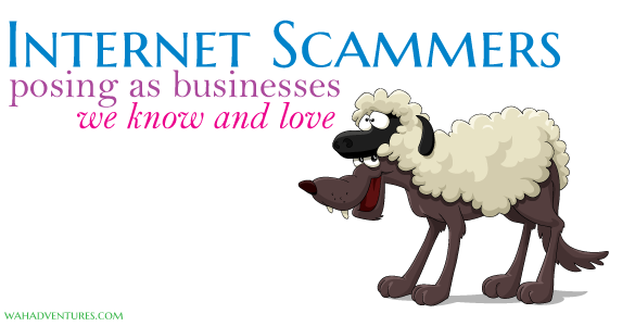 Internet Scammers are Smarter than You