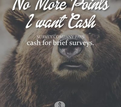 Cash for Surveys from Paid ViewPoint