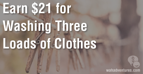Work from home washing clothes- make $21 for three loads.