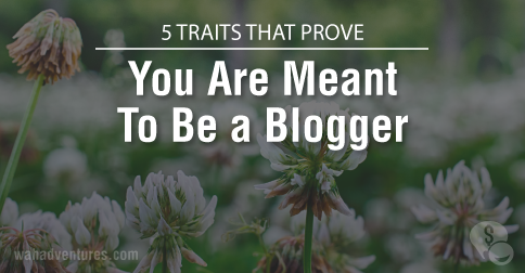 5+ God-Given Traits That Prove You Should Start a Blog