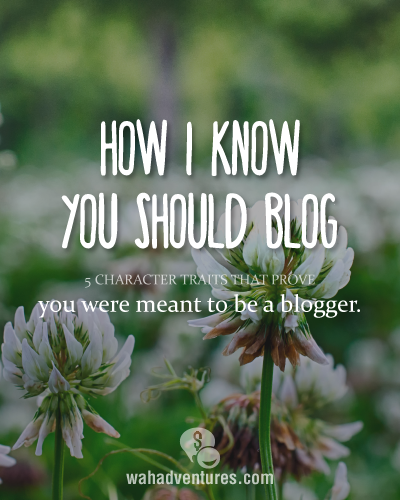 5 Traits that every successful blogger has