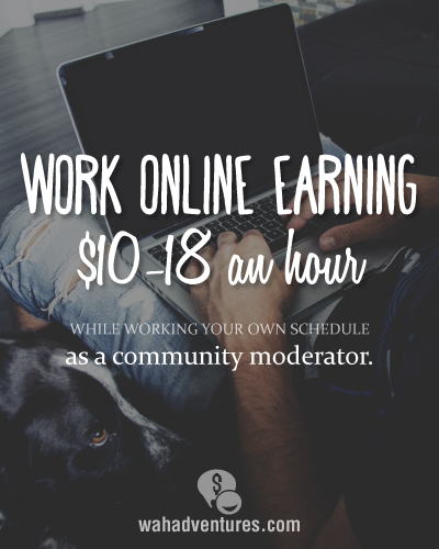 Work online with a schedule available 24/7 and earn 10-18 dollars an hour as a community moderator for ICUC