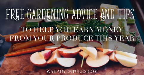 ZUKEENI offers lots of gardening help and assistance to help you make extra money from your produce