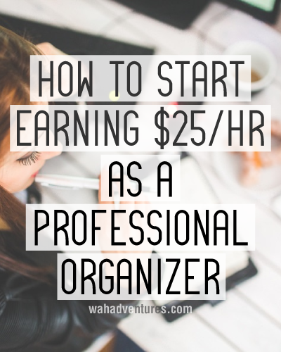 Learn how to start your own profitable professional organizer business.