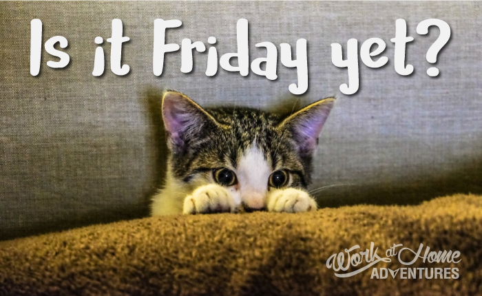 Is it Friday yet? Cut cat meme