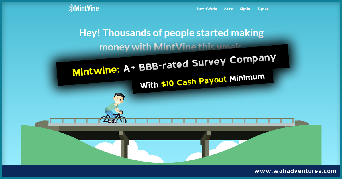 An Unbiased Review Of Mintvine Online Surveys Panel - 