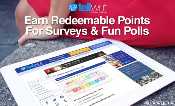 Tellwut Review – Legitimate Survey Site, But Is It Worth It?