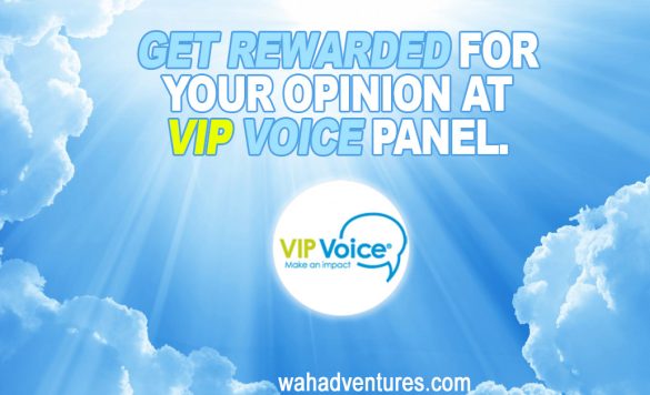 The Detailed Review Of VIP Voice Online Surveys Panel