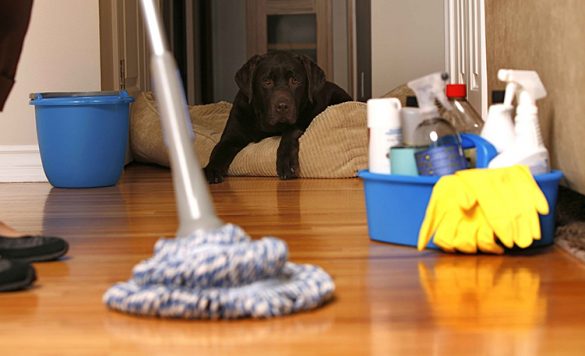 5 Steps to Make Money Cleaning Houses ($1000 per Month or Even More)