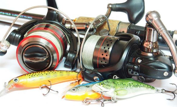 Love Fishing? Here are 15 Real Ways to Get Paid for It!