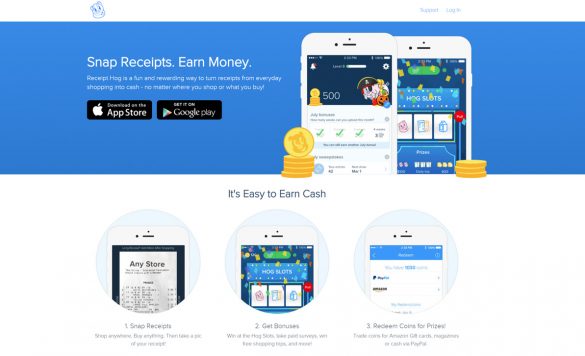 Receipt Hog Review: Earn Money with Your Shopping Trip Receipts