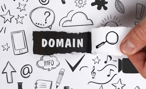 Picky Domains- Put Your Creative Mind to Work!