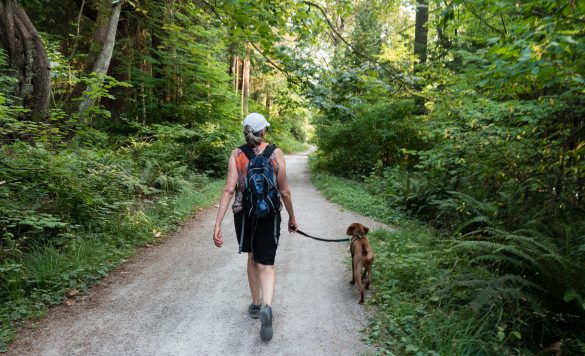 10 Steps To Start a Dog Walking Business