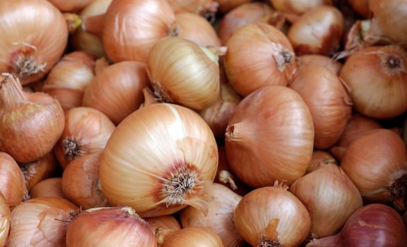 Turn Tears into Treasure: How Onion Farmers are Cashing in on the Crying Game