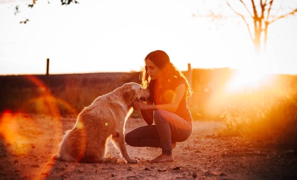 Remote Pet Whispering: Turning Animal Communication into a Work-from-Home Career