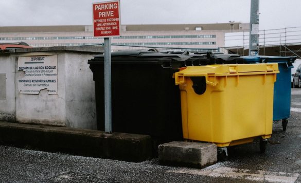 Unlocking the Hidden Treasures: The Art of Dumpster Diving for Beginners