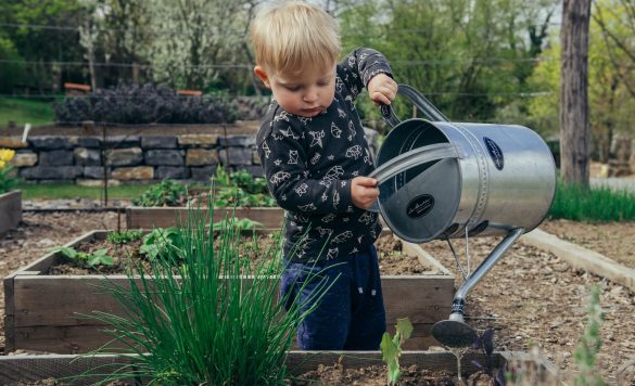 10 Ways to Get Free Gardening Supplies: Seeds, Compost, and More