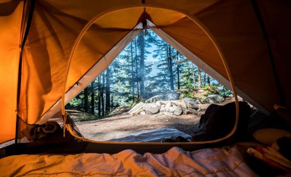 Road Tripping on a Budget: Free Camping Sites to Visit