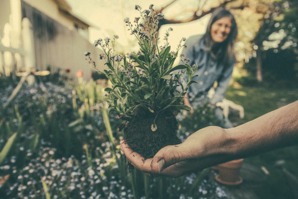 People working on their garden 