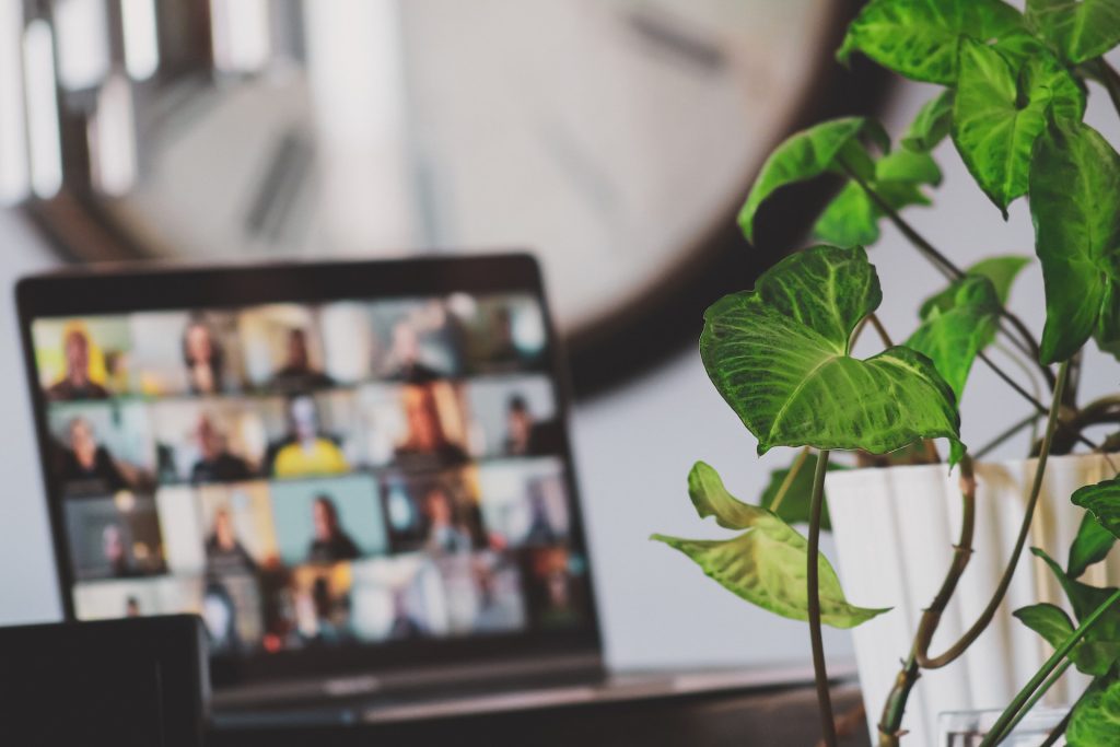 An online focus group engaging on a zoom call